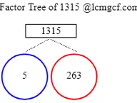 Factors of 1315