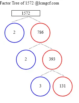 Factors of 1572