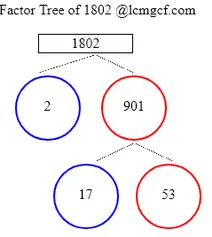 Factors of 1802