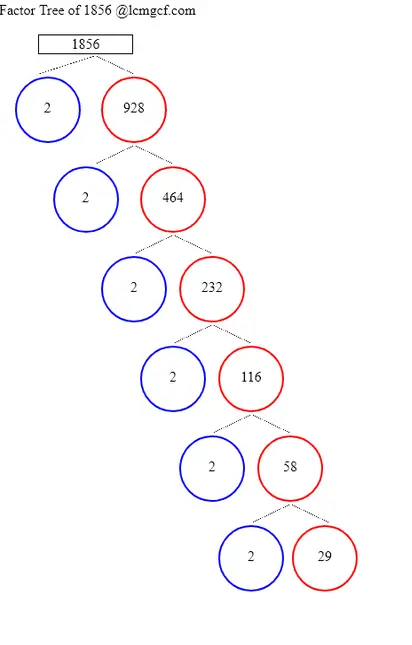 Factors of 1856